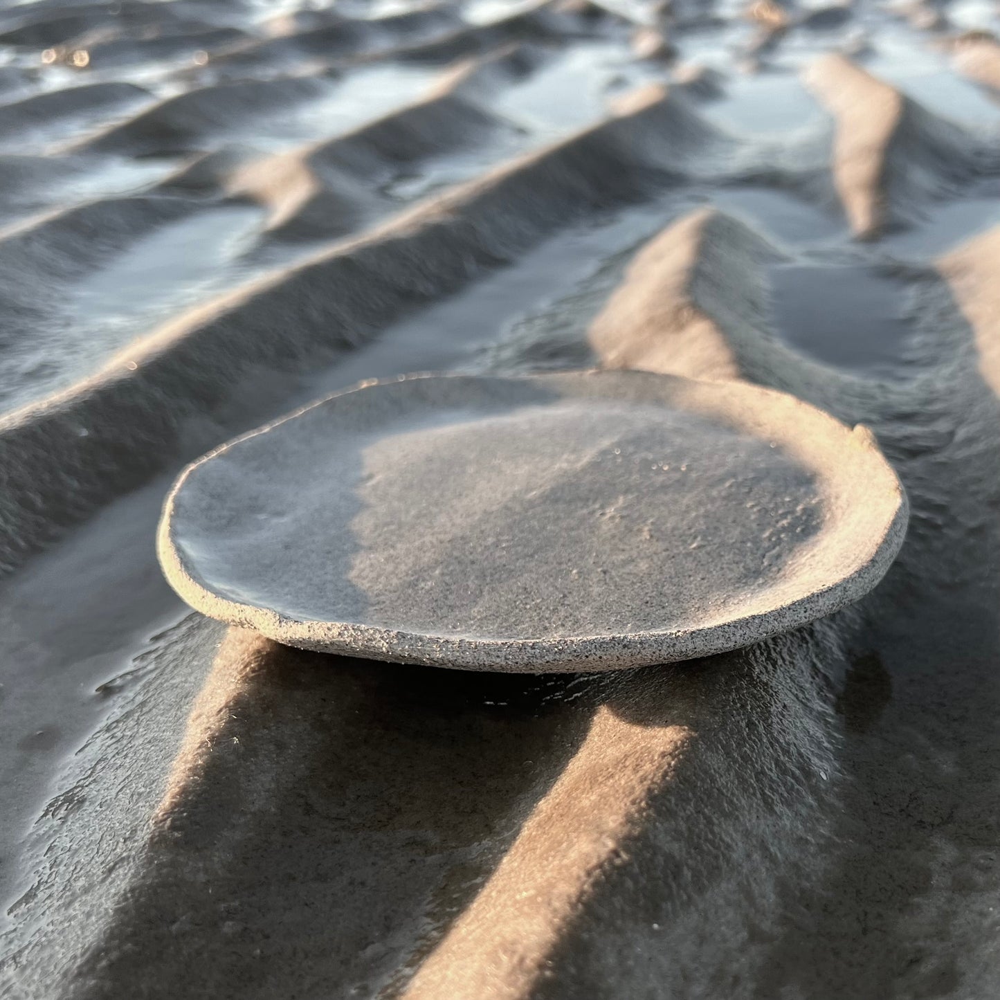 Wattenmeer: Teller mittel